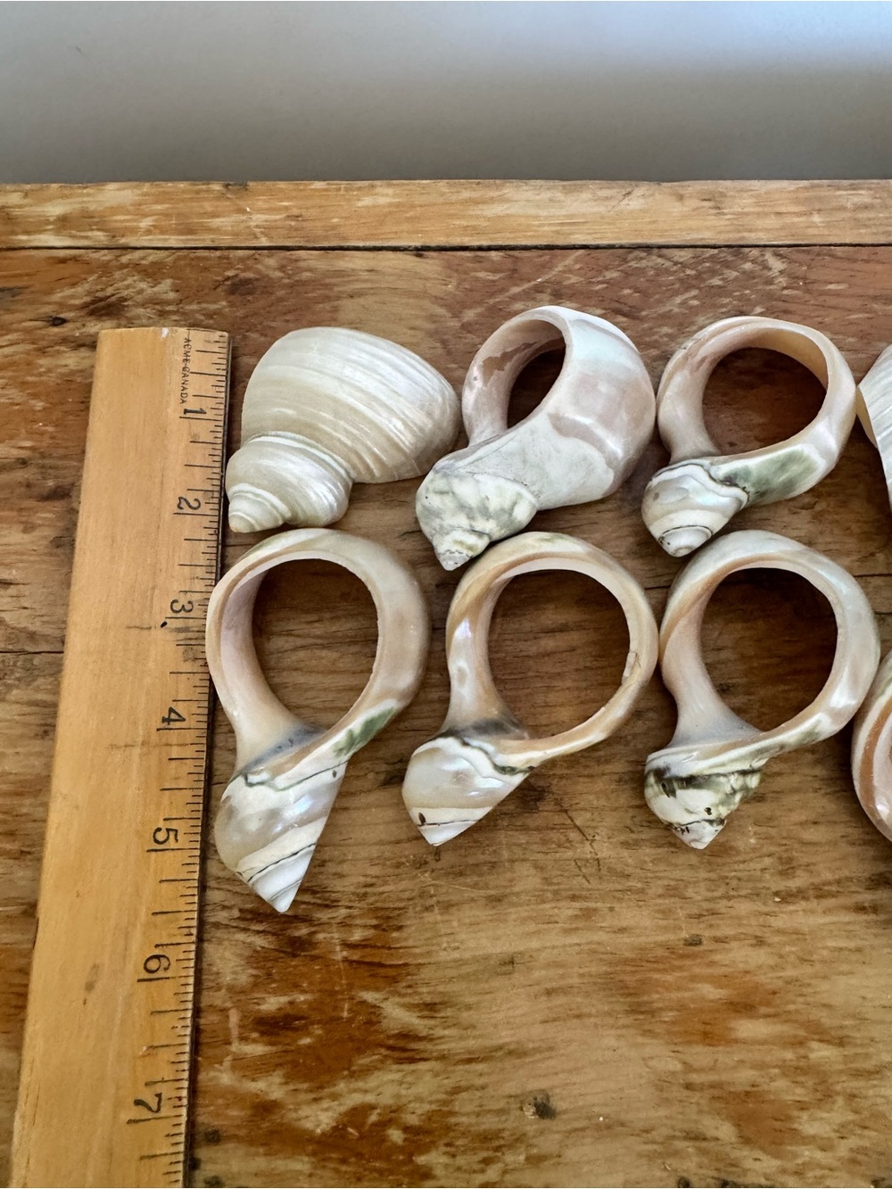 Vintage Sea Shell Napkin Rings - Set of 10 - Picture 2 of 3